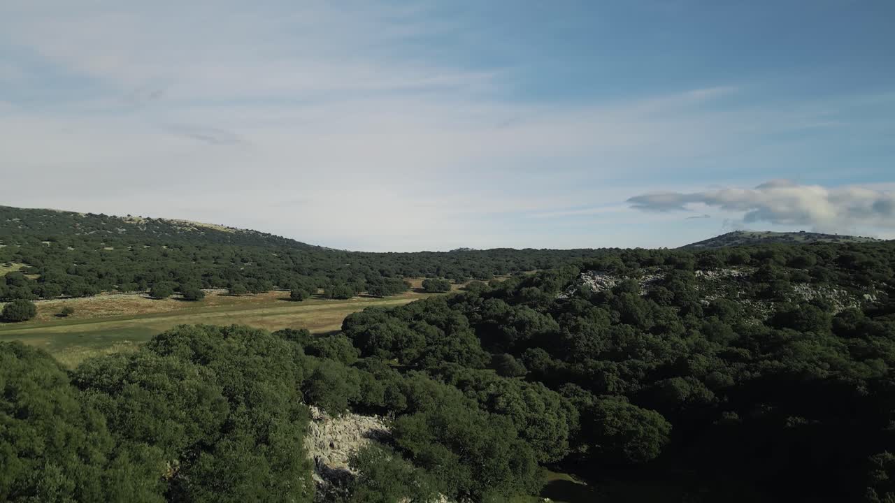 Luftfoto, der bevæger sig op over et træfyldt landskab