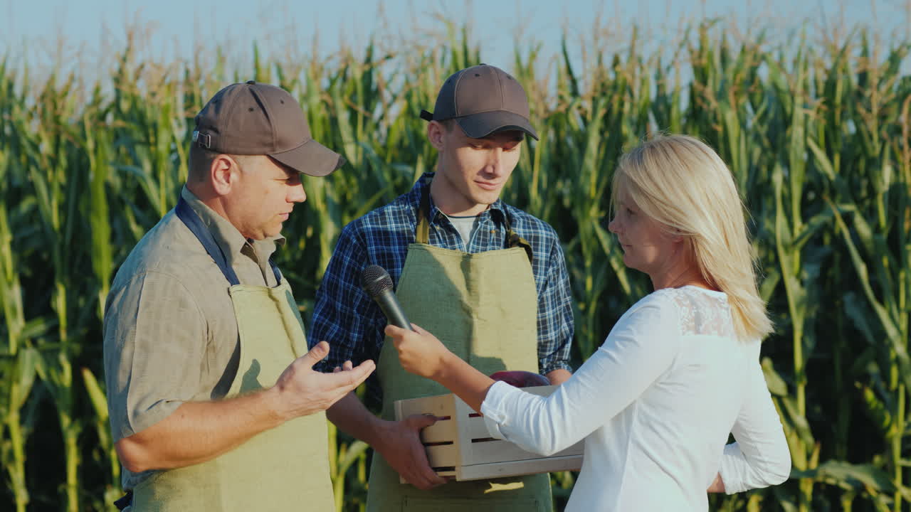 마이크가 있는 기자가 두 명의 농부와의 인터뷰를 녹음하고 등을 대고 들판에 서 있습니다.