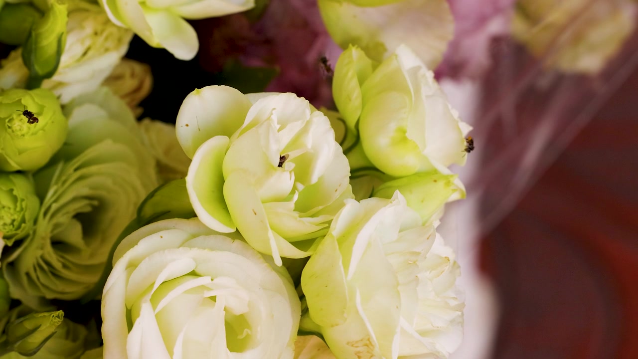 Close-up of a bee pollinating white lisianthus flowers in a vibrant outdoor market setting.