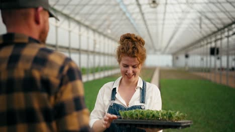 Por-Encima-Del-Hombro-De-Una-Feliz-Mujer-Agricultora-Con-Cabello-Rojo-Y-Rizado,-Toma-Plántulas-De-Las-Manos-De-Un-Agricultor-Confiado-Y-Le-Agradece-Por-Trabajar-En-El-Invernadero-De-La-Granja.