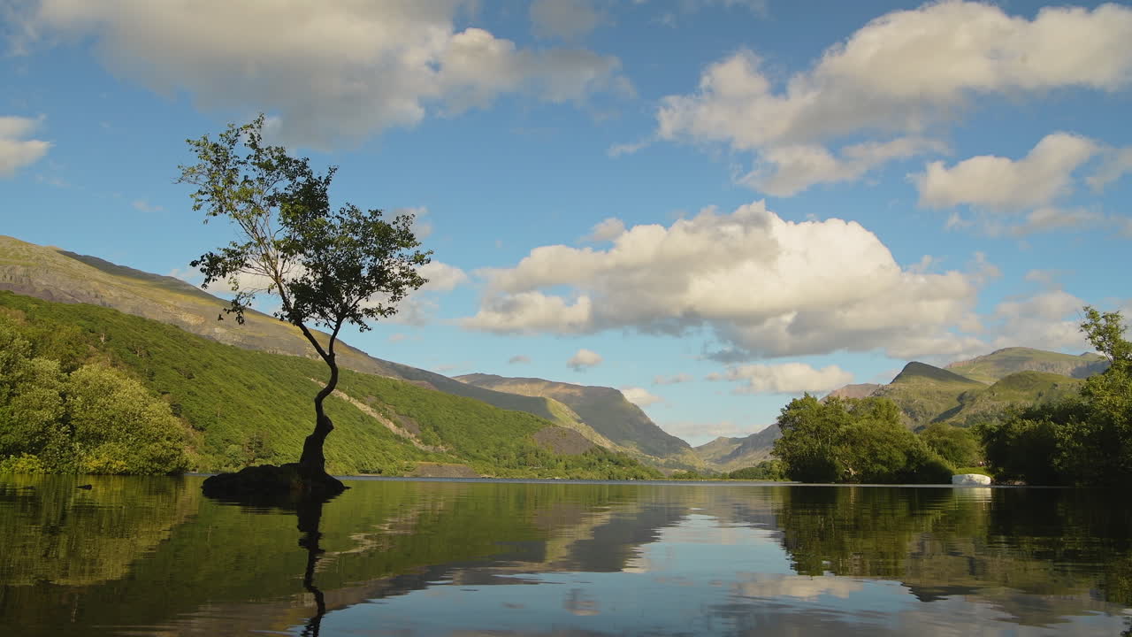 Magnificent Welsh Mountains, Lone Tree, And Bright Blue Sky With White Clouds Reflecting On The Rippling Water Of Llyn Padarn Lake In Snowdonia, Wales, UK - ground-level wide shot