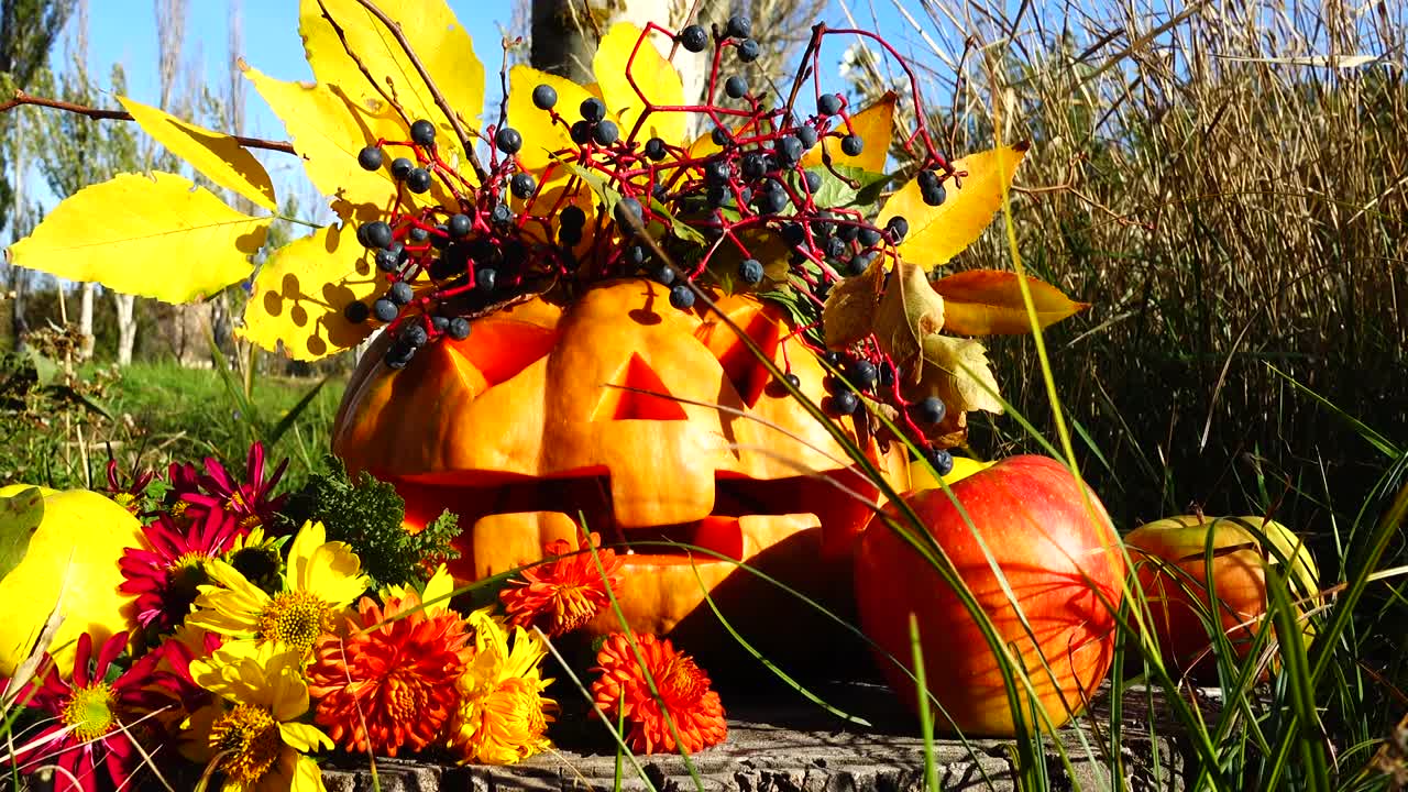 Uhyggeligt halloween-græskar. Monsteret sidder på en træstub.