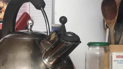 tetera silbante en tiempo real con aparato de tapa de cráneo vapor hirviendo en la estufa de la cocina