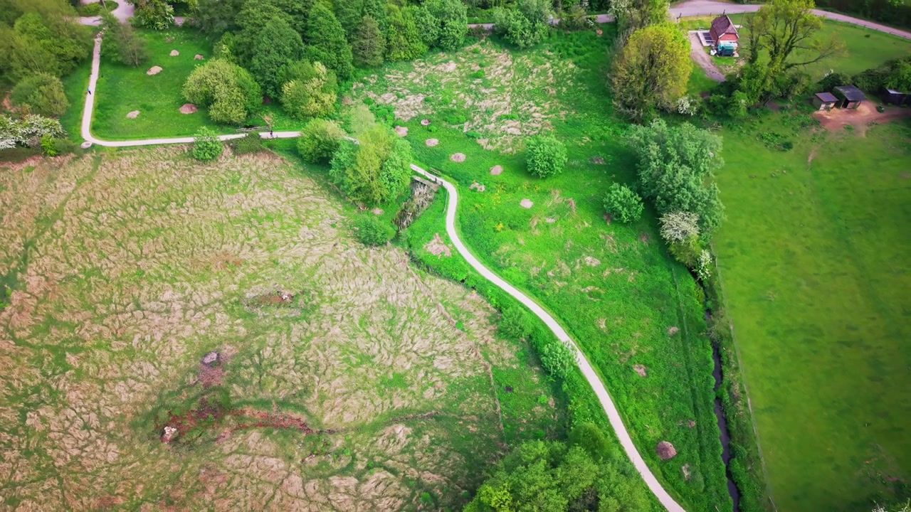 Top-down drone aerial view of a footpath running through green grassland, trees and countryside habitat in a nature reserve in the United Kingdom.