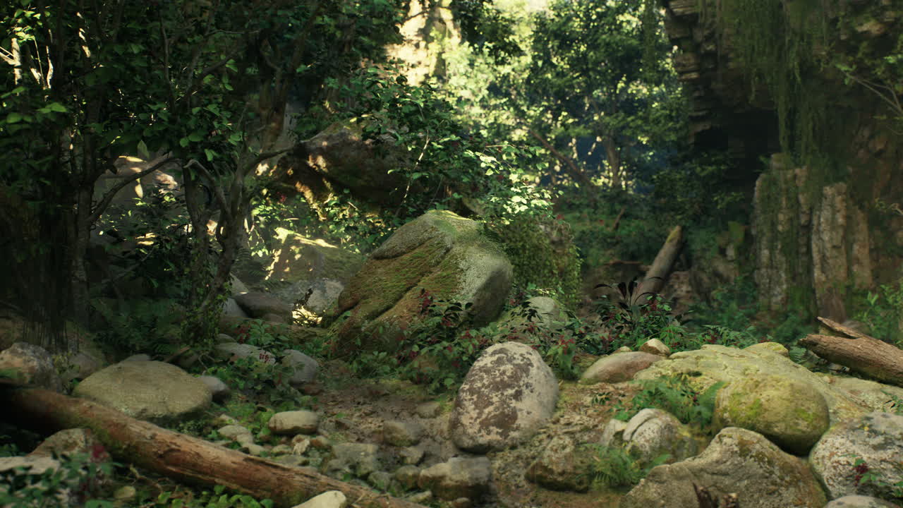 조용한 정글 길