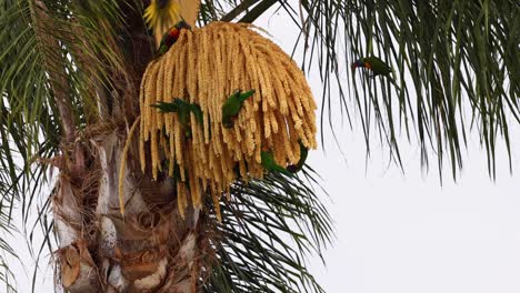 palm tree with shifting sunlight and shadows