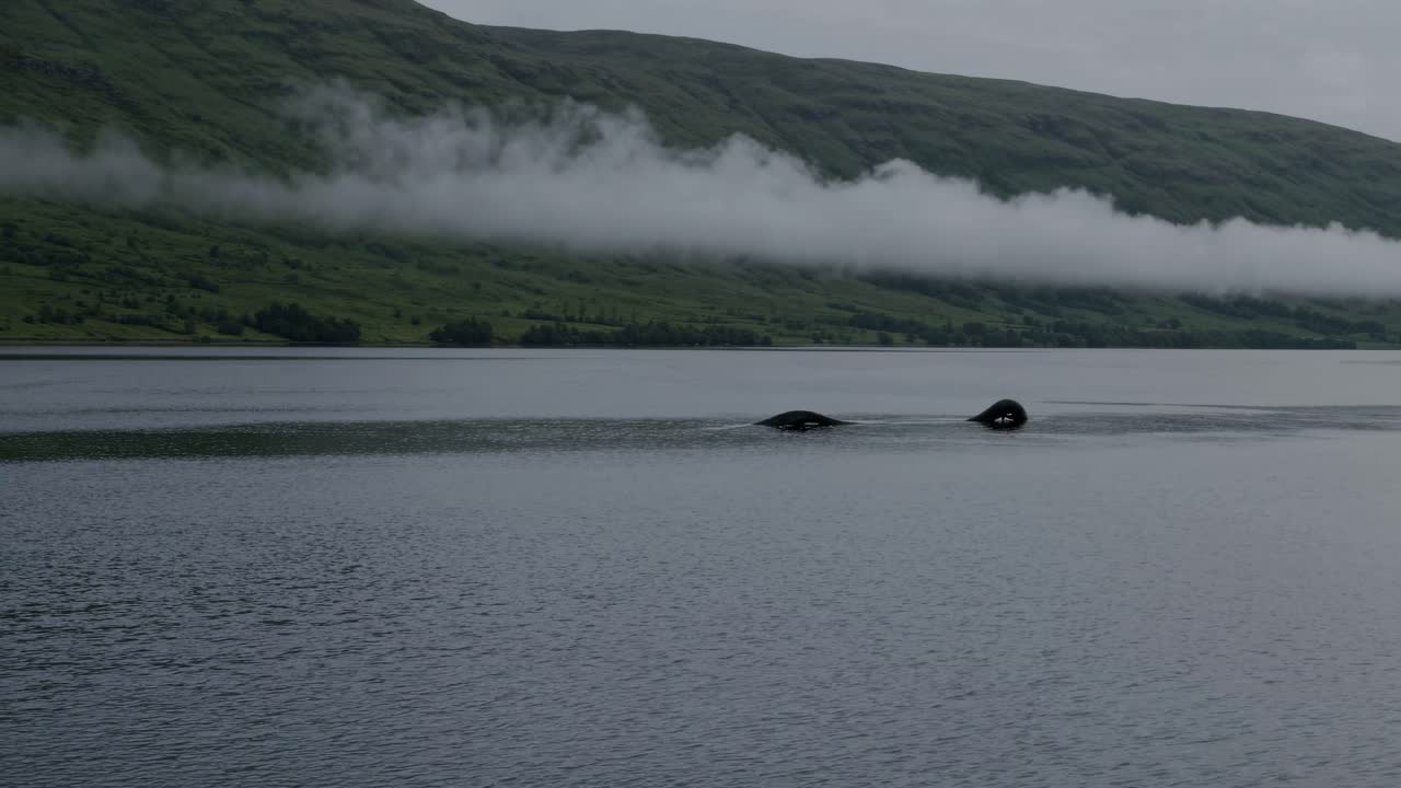 A serene landscape video with a wide-angle view of a misty lake, rolling hills, and low clouds