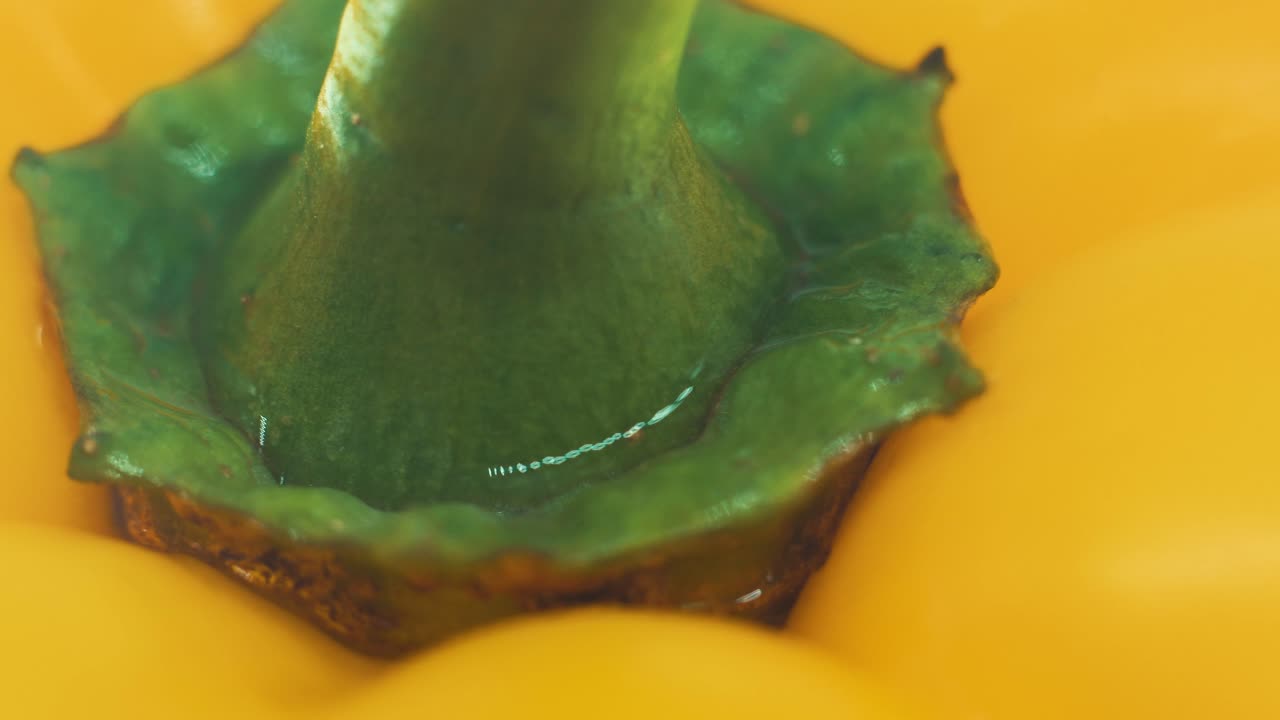 un primer plano macro de un pimiento amarillo dulce mojado en un soporte giratorio 360, cámara lenta, 4k