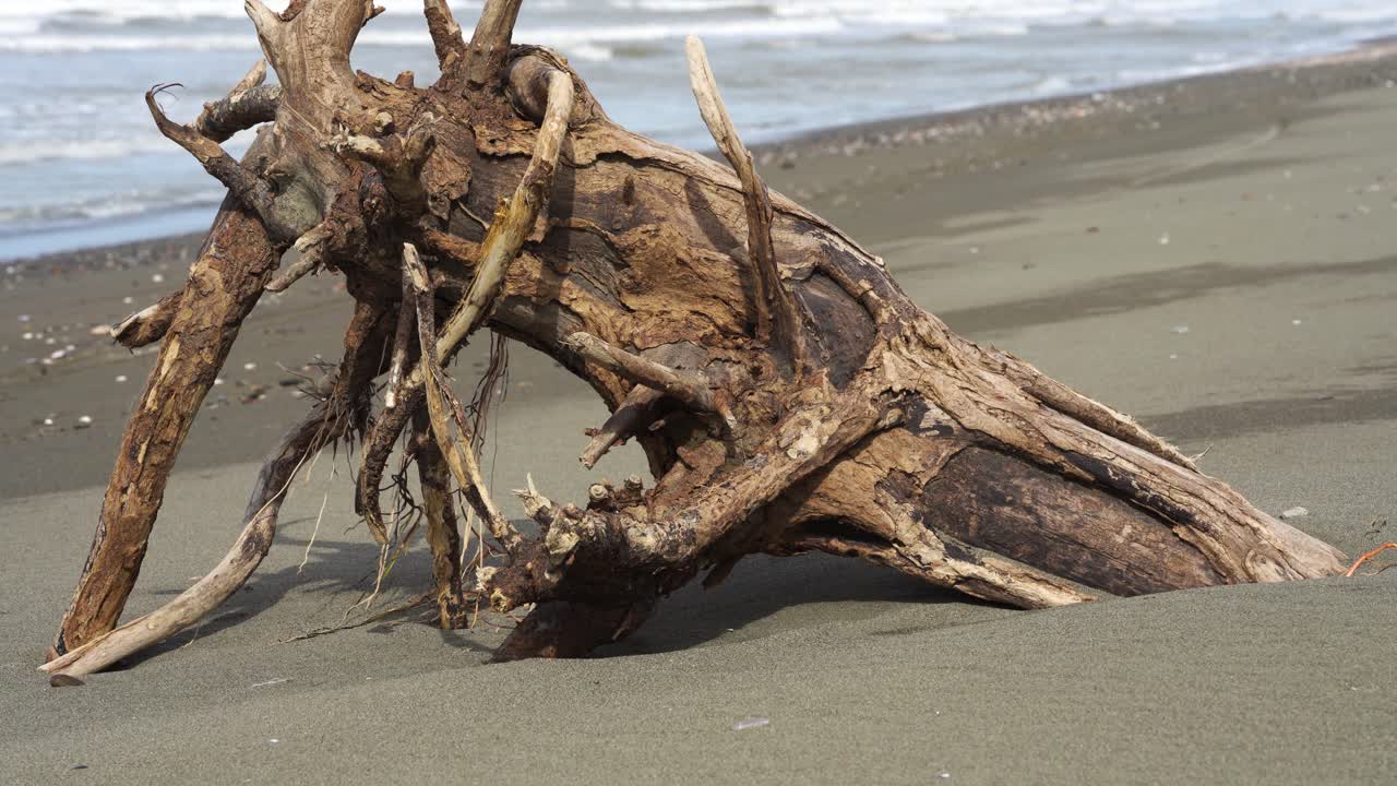 Scultura astratta in legno formata dal vento marino e dalla sabbia su un paesaggio di spiaggia invernale e solitaria
