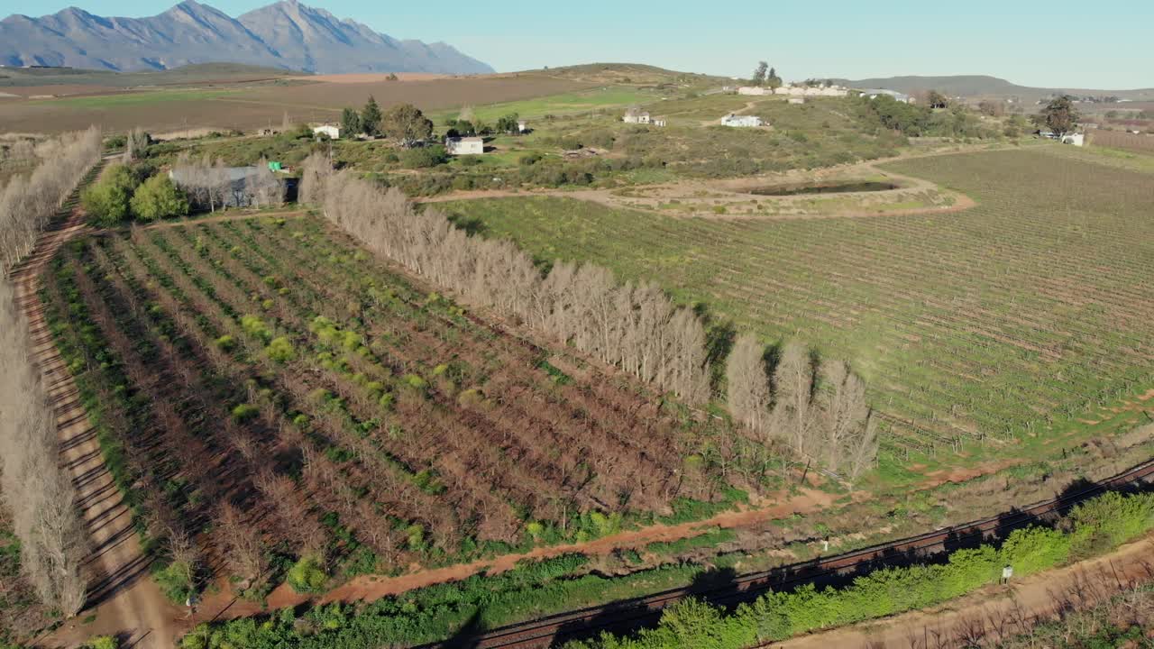 vista aérea con un movimiento de muñecas volando sobre viñedos verdes en una mañana soleada que muestra un paisaje pintoresco con colinas y montañas en la distancia
