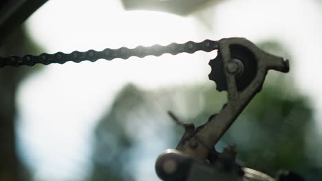 close-up of bicycle's rear wheel and gear system as the chain rotates briefly, the sunlight reflects on the chain and cogwheel, while the background of greenery is softly blurred