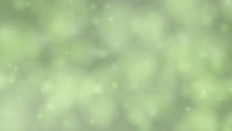 gentle green hues and soft light transitions create a tranquil forest atmosphere in this calming 19-second animation