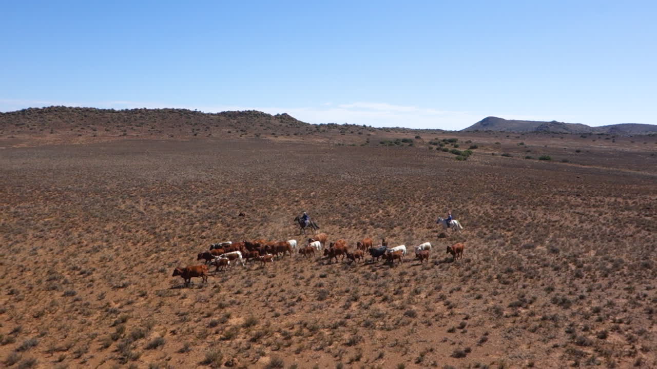 Karoo farm in the Northern cape