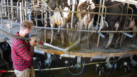 high power jet washing cow manure from area