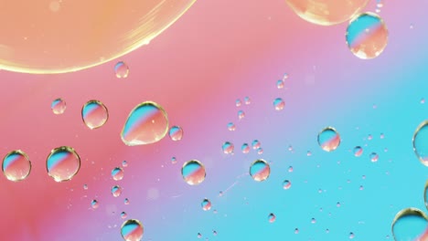 animation of bubbles moving on red and blue background with copy space