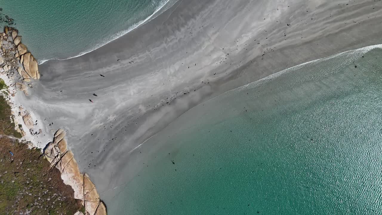 vista superior de la playa de arena blanca de la isla de bicheno en tasmania, australia