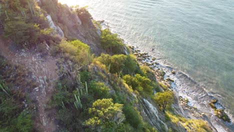 Cactus-Y-Arbustos-Junto-Al-Acantilado-En-Lo-Alto-De-Una-Playa-Rocosa-Con-Algas-Y-Arena-Limpia