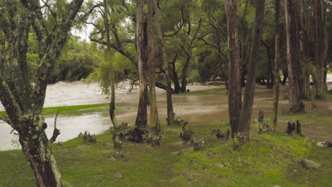 rivier overstroomde in de stad en parken