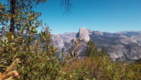 slow panning shot from foliage to half dome and yosemite valley from glacier point