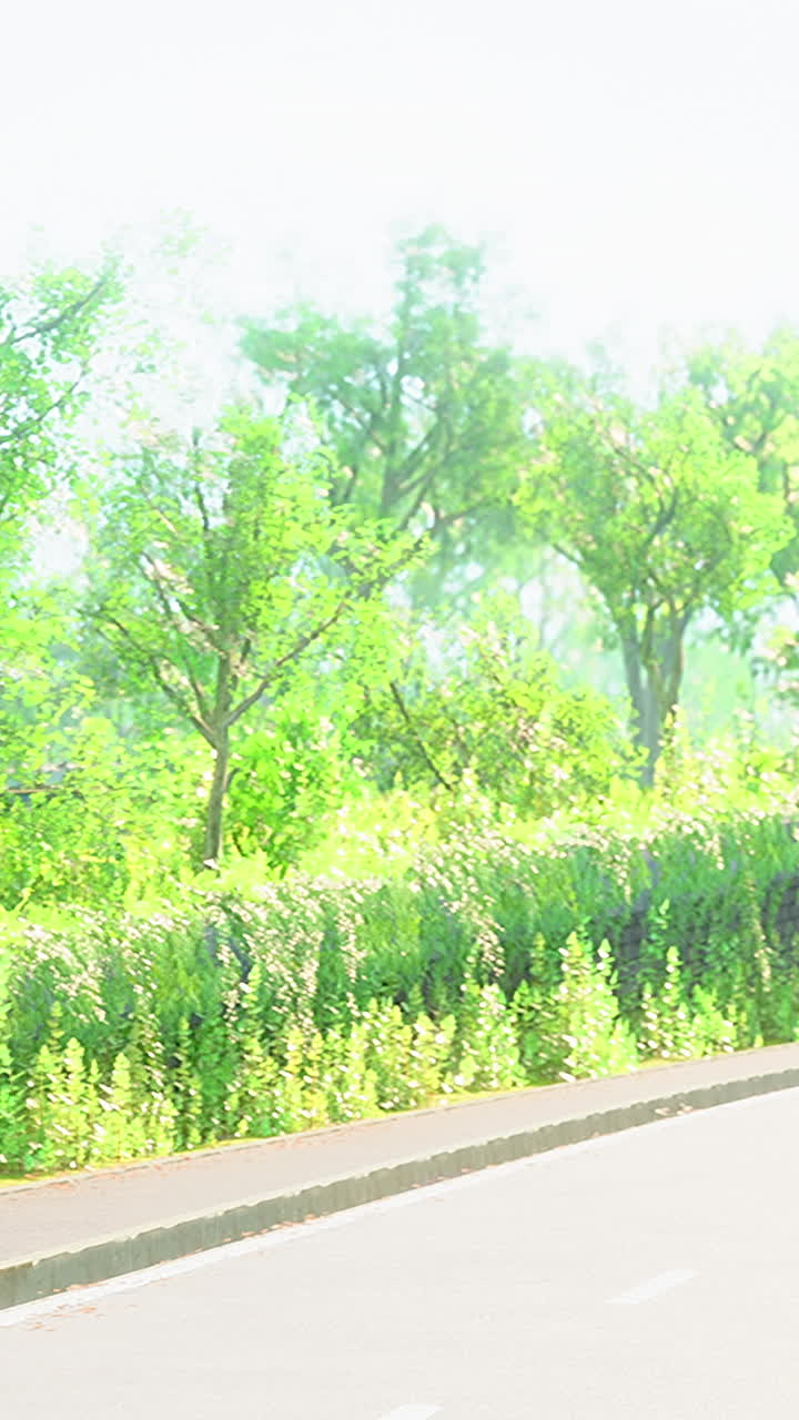 길가에서 조용한 여름날