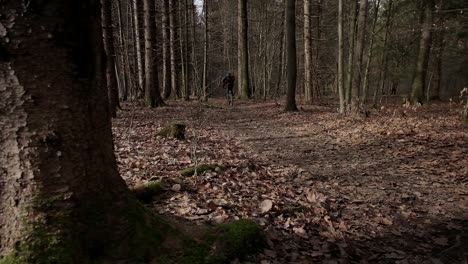 Riding-a-bike-away-from-the-camera-in-the-forest-during-winter-with-a-backpack-on