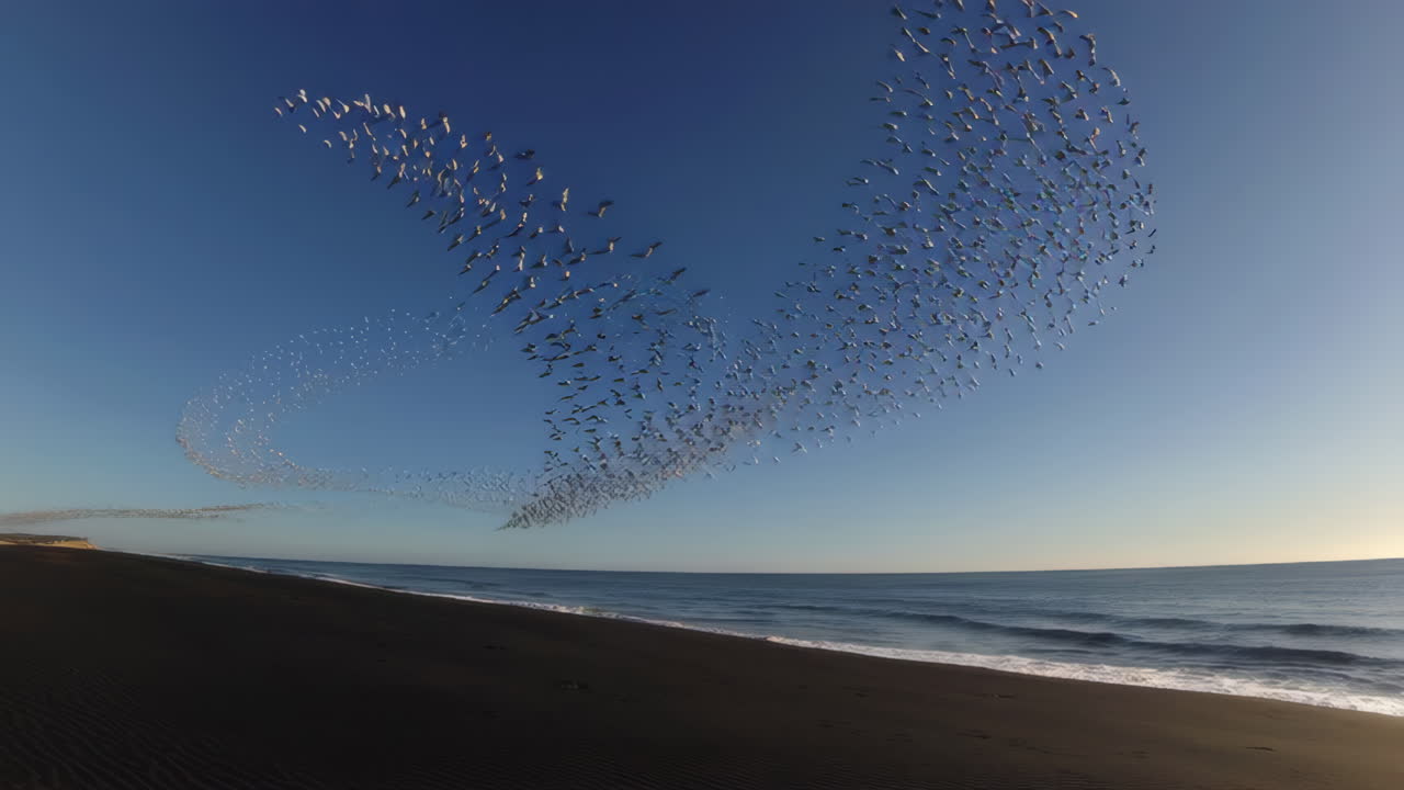 Birds in Flight Over a Black Sand Beach