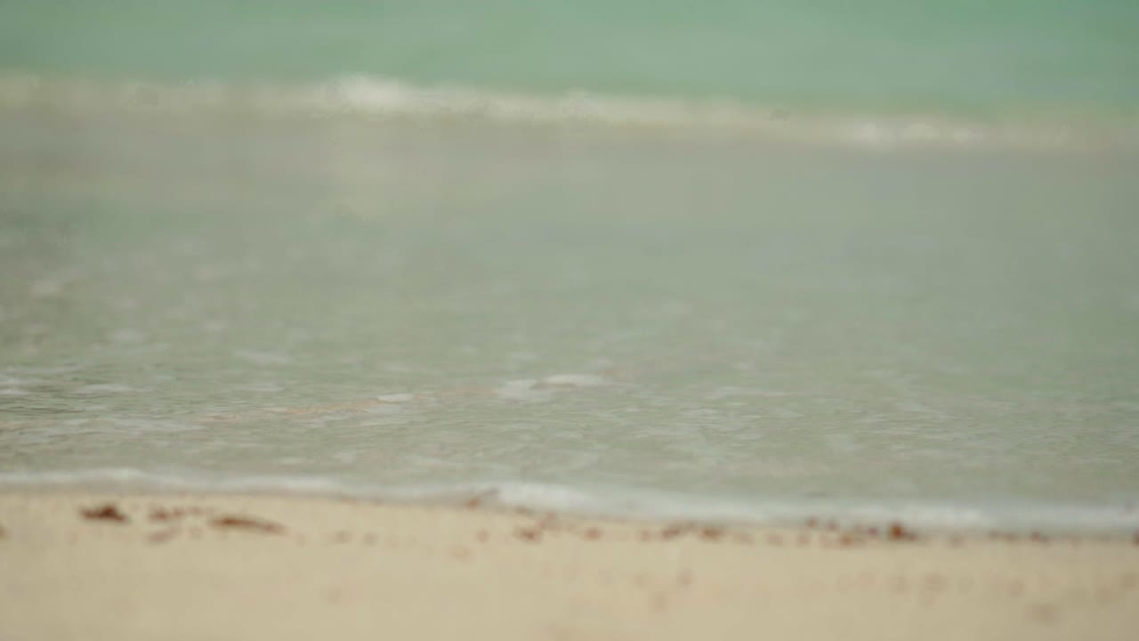 평온한 해변 장면