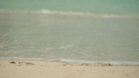 calm beach scene
