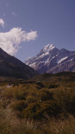 majestic aoraki/mount cook