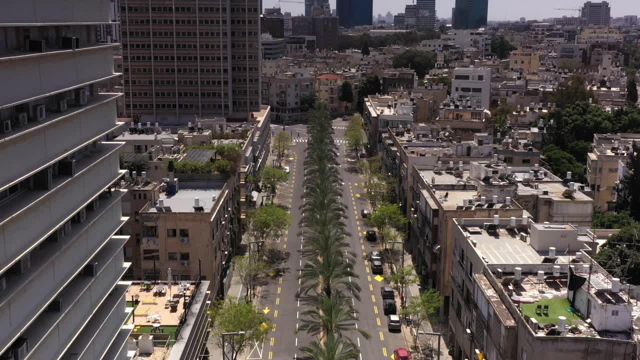 Veduta aerea di una strada cittadina con palme