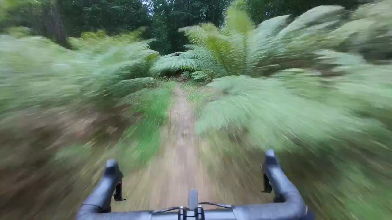 Cyklist styrer, mens singletrack-stien indsnævres i en bregneskov, undviger bregneblade med bukkestyr