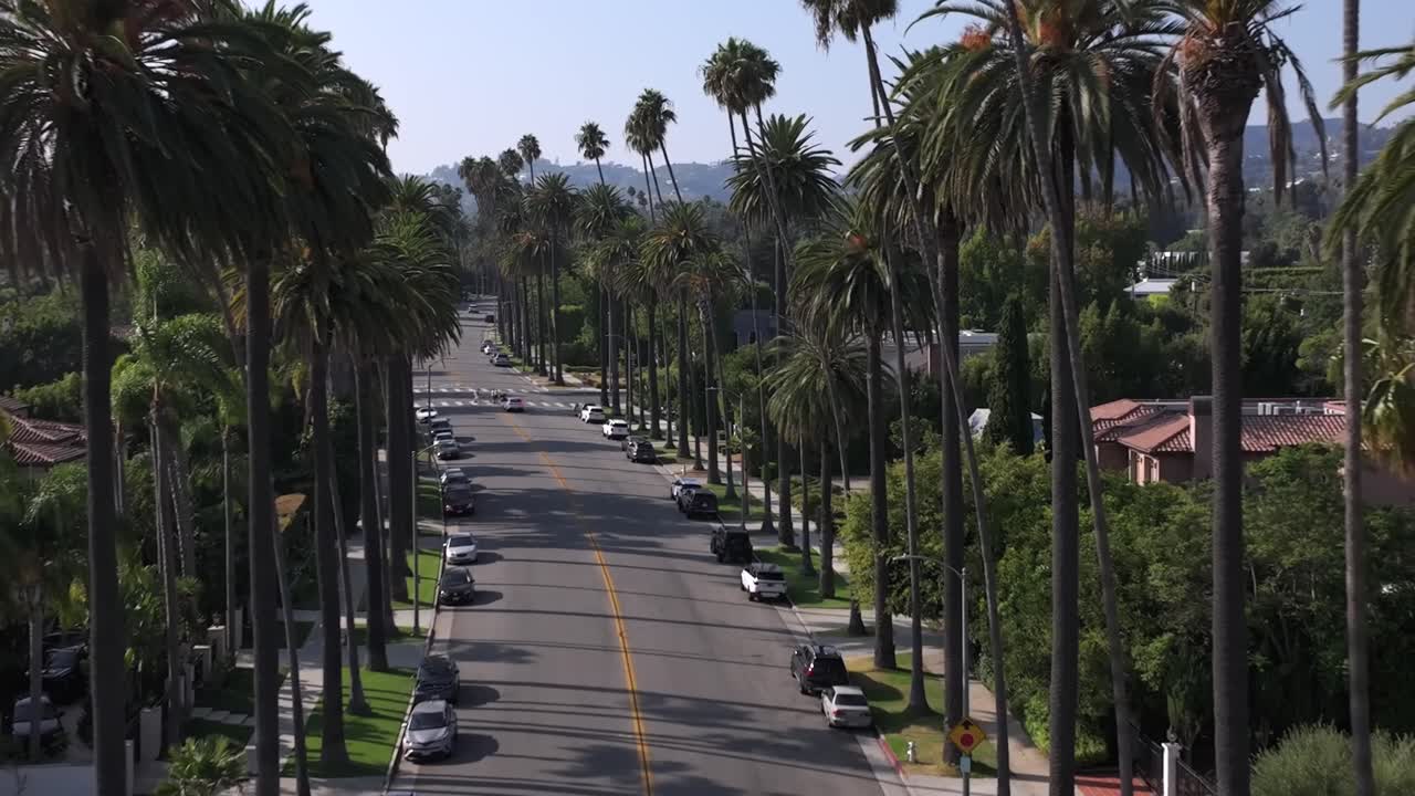 Aerial View of a Palm Tree-Lined Street in Los Angeles