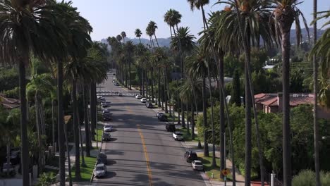 aerial view of a palm tree-lined street in los angeles