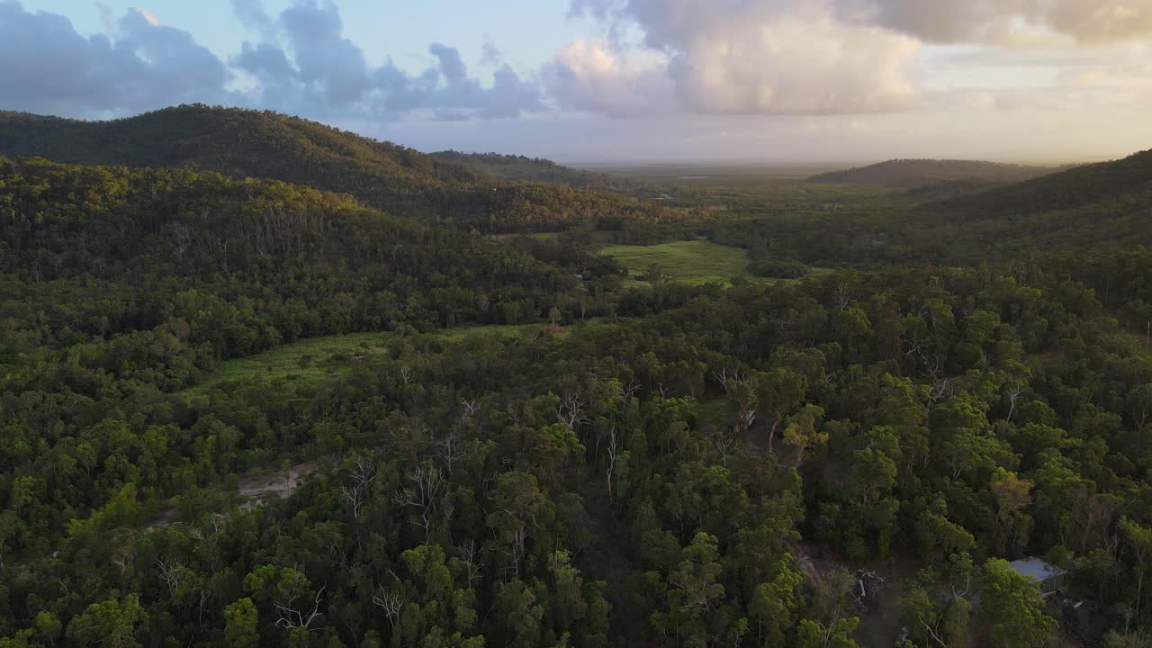 vista aérea de árboles densos en el bosque en el parque nacional de conway cerca de cedar creek en qld, australia