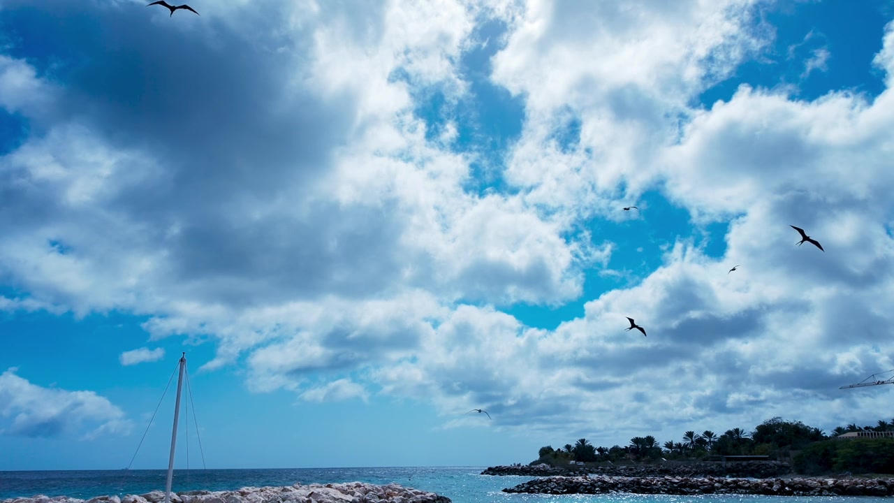 Fregate in slow motion che volano sulle acque turchesi di Curaçao sotto un cielo azzurro