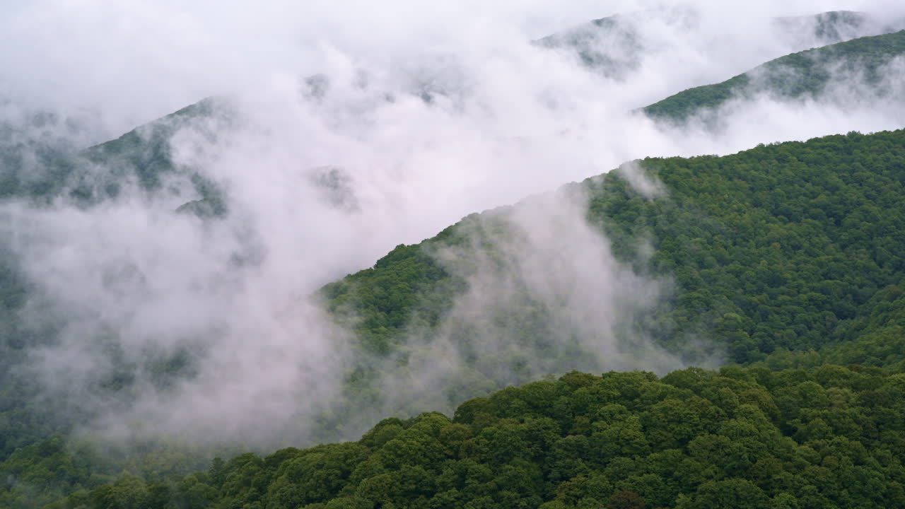 Cinematic sweep through low-hanging mist in the Smoky range