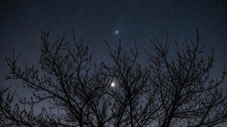 Un cielo notturno accattivante incorniciato da rami spogli, che mostra le stelle e l'incantevole bagliore della luna in un'atmosfera serena e tranquilla.