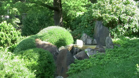 a small waterfall in a japanese garden