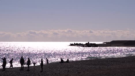 vista de silueta de personas disfrutando del tiempo en la playa en un día claro y soleado - cámara lenta