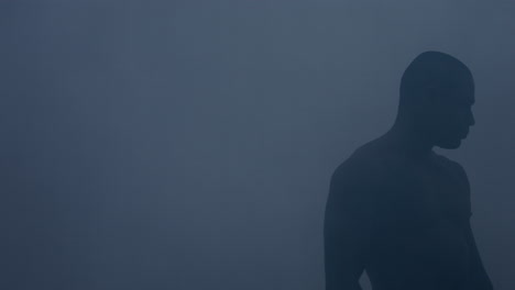 dark mma fighter silhouette in smoke at studio. boxer man silhouette