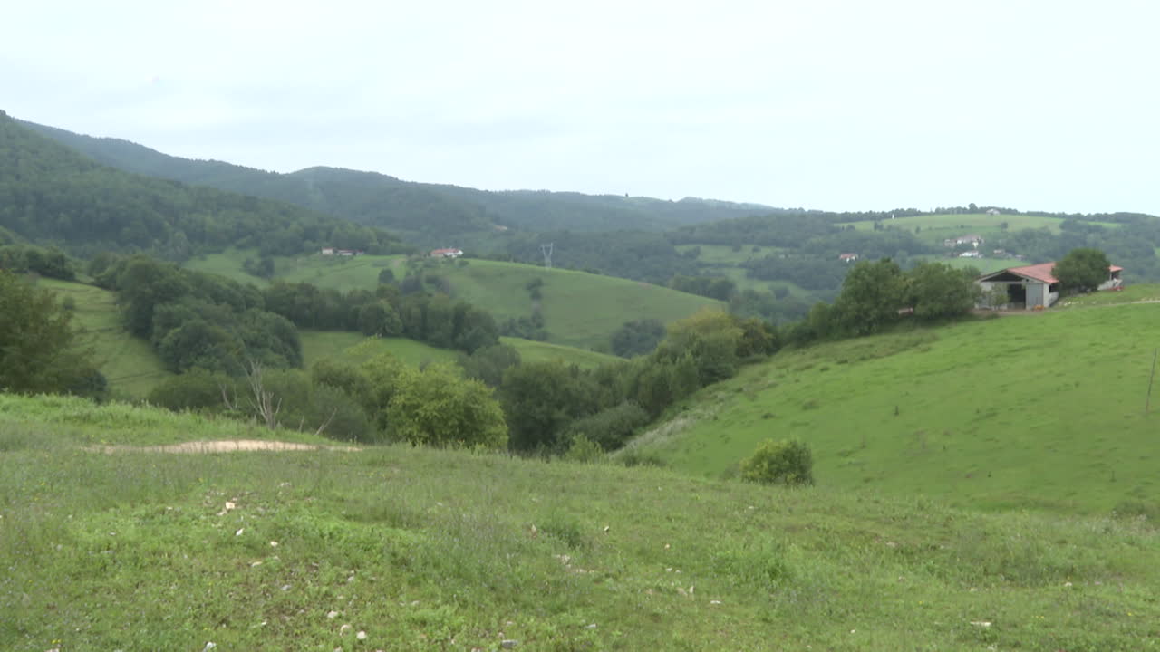 Rural Landscape with Hills and Fields