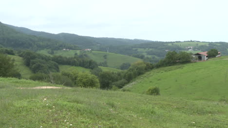 rural landscape with hills and fields
