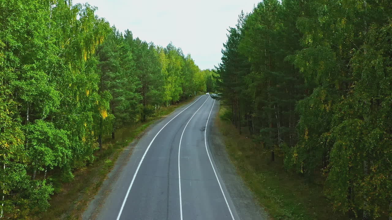 лесная дорога с машиной