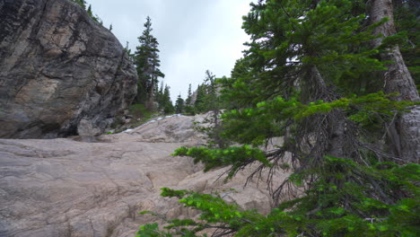 Arroyo-Revelador-De-árboles-Alpinos-En-Cámara-Lenta