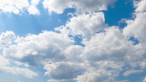 cumulus white clouds moving by the sky. soft fluffy cloudscape in the rays of bright summer sun. low angle view. timelapse.
