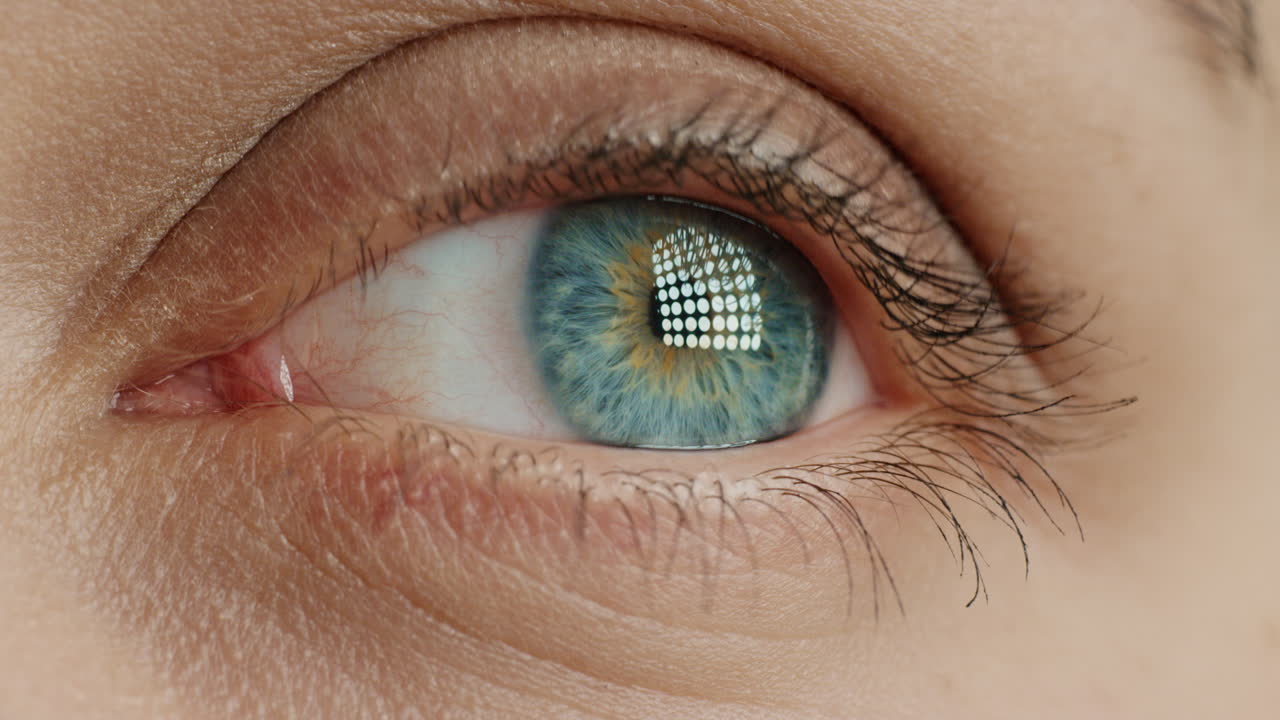 hermosa apertura del ojo macro parpadeando de cerca