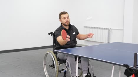 A Handsome Young Bearded Man in a Wheelchair is Playing Ping Pong a Handsome Young Bearded Man in a Wheelchair is Playing Ping Pong Sports as a Hobby and Health Benefits