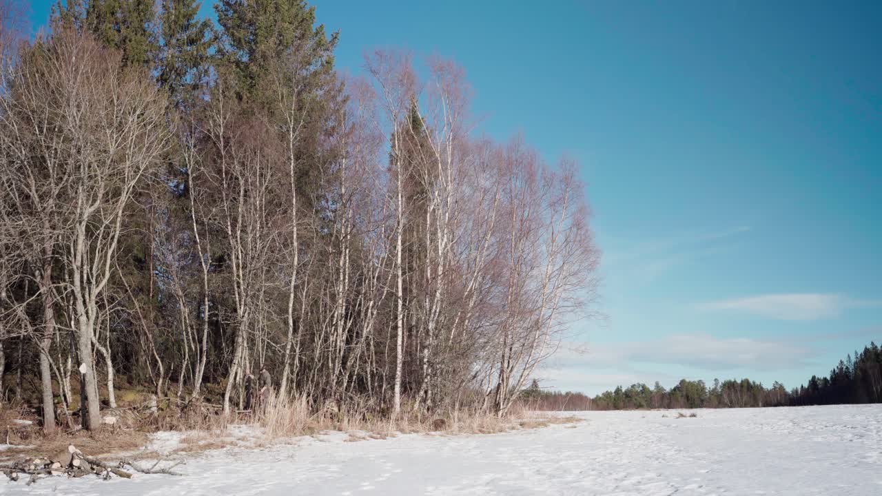 노르웨이 의 인드레 포센 에서 은 겨울 날 숲 에서 나무 를 는 사람