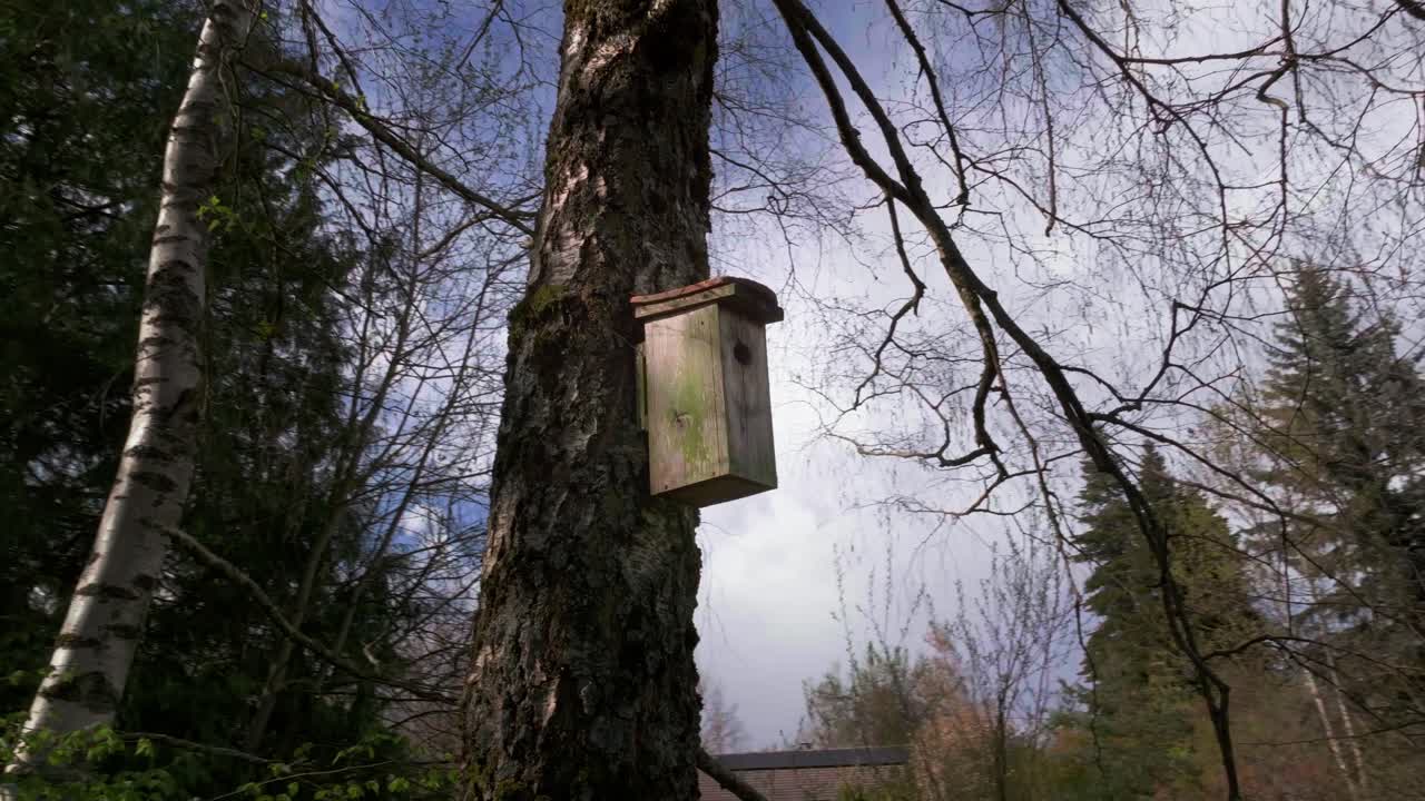Wooden homemade shelter for songbirds and small passerines