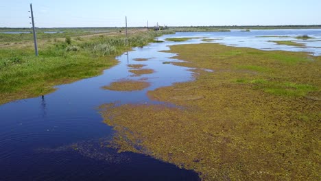 wetlands of northeast argentina shooted with drone